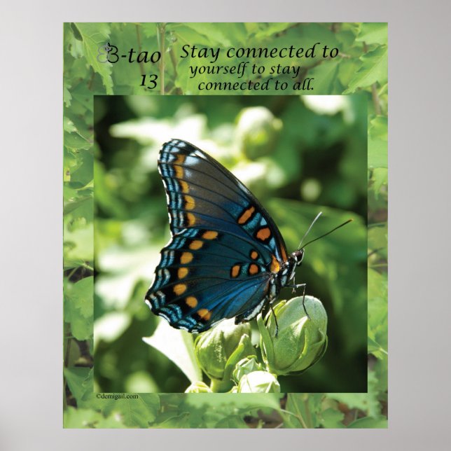 Butterfly Way 13 - Stay connected Poster (Front)