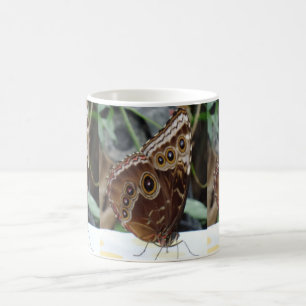 Butterfly White Coffee Mug