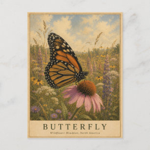 Butterfly Wildflower Meadows VINTAGE Postcard
