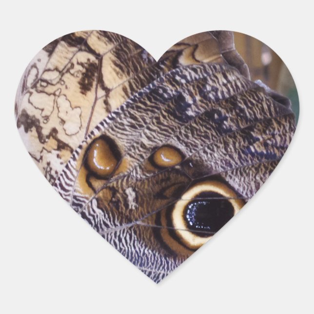 Butterfly Wing Heart Sticker (Front)