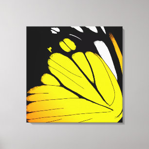 Butterfly Wing - Orange Gull Canvas Print