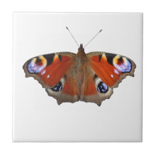 butterfly wings tile