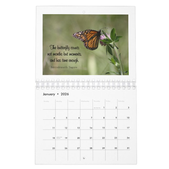 Butterfly Wisdom 2015 Calendar (Jan 2026)
