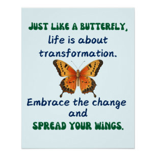 Butterfly Wisdom: Poster