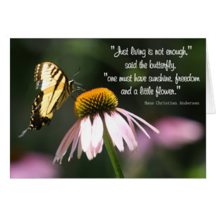 Butterfly Wisdom: Sunshine, Freedom, Flower.