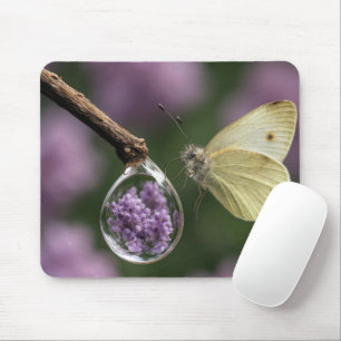 Butterfly with a Raindrop Mouse Mat