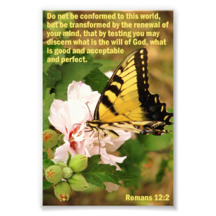 Butterfly with Romans 12:2 Photo Print