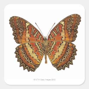 Butterfly with wings spread square sticker