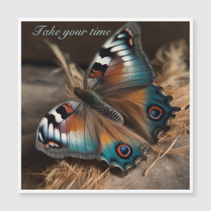 Butterfly with zebra design body