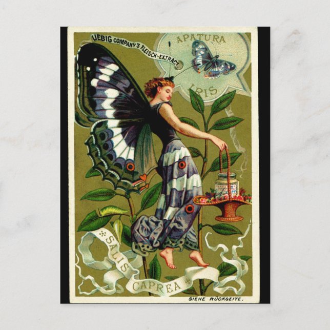 BUTTERFLY WOMAN postcard (Front)
