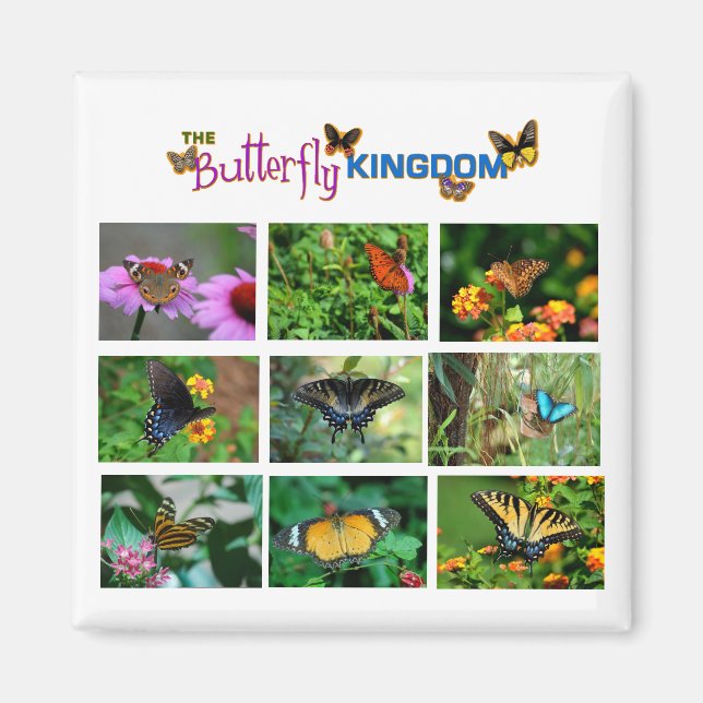 Butterfly World  Magnet (Front)