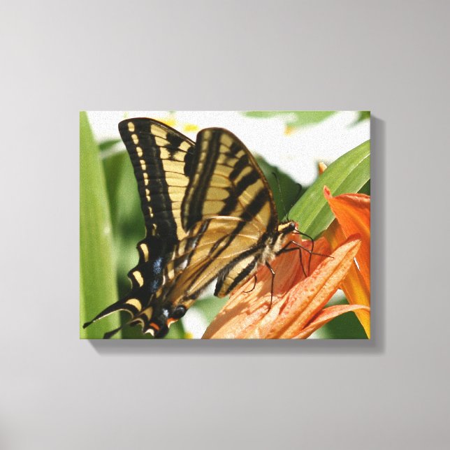 Butterfly wrapped canvas (Front)