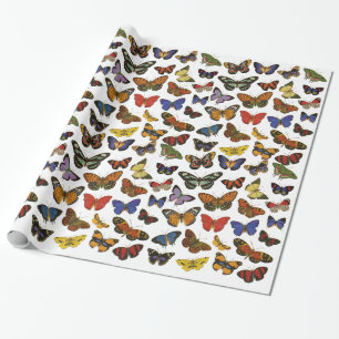 Butterfly Wrapping Paper