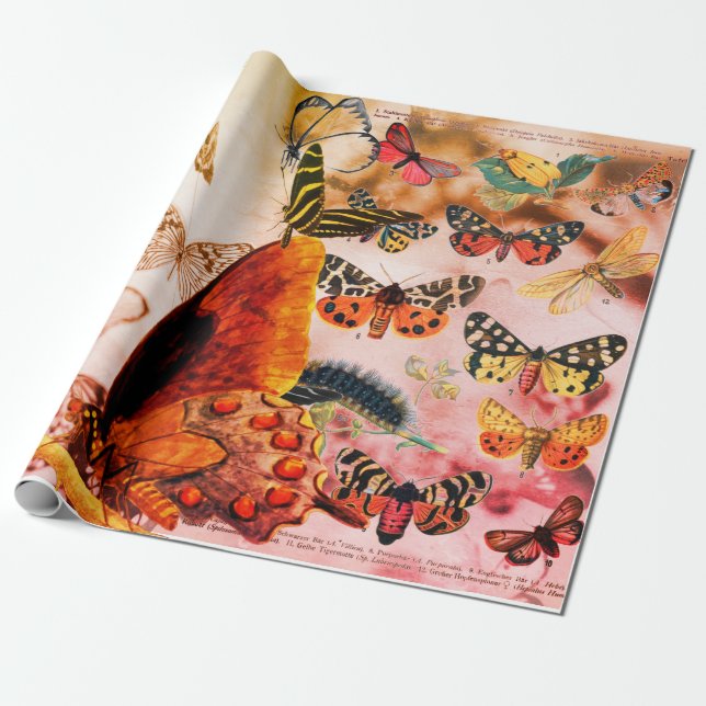 BUTTERFLY Wrapping Paper (Unrolled)