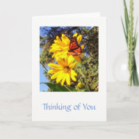 Butterfly, write your own note, letter or message