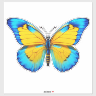 Butterfly Yellow-Blue