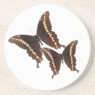Butterfly's Coaster