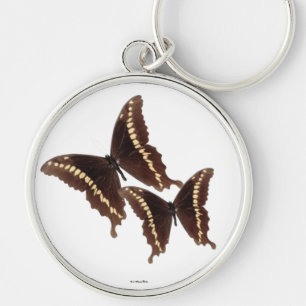 Butterfly's Keychain