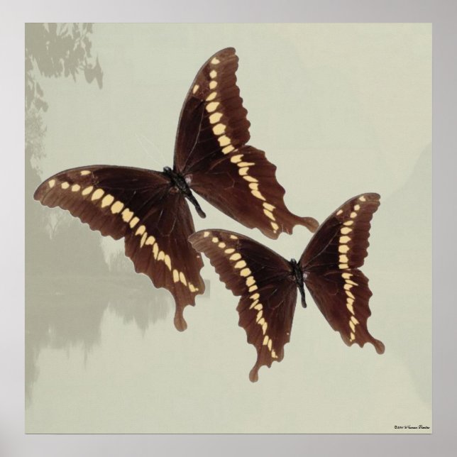Butterfly's Print (Front)