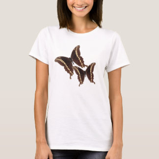 Butterfly's Shirt