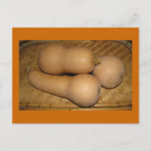 Butternut Squash Postcard