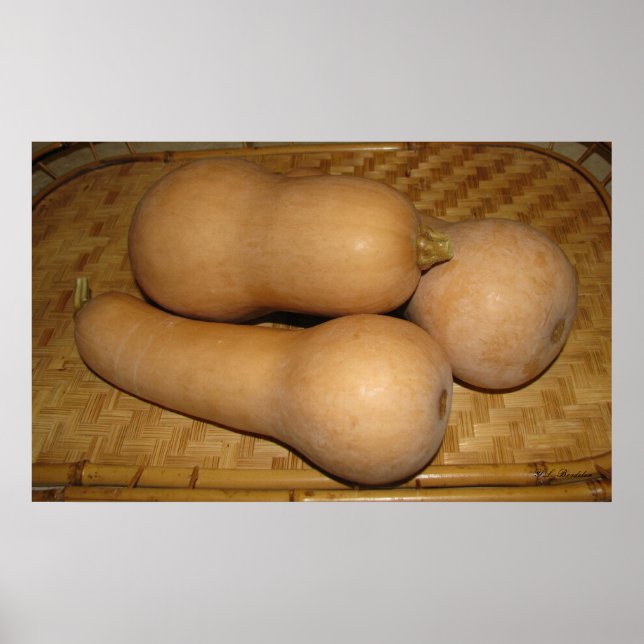 Butternut Squash Poster (Front)