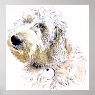 Butters the Labradoodle Print