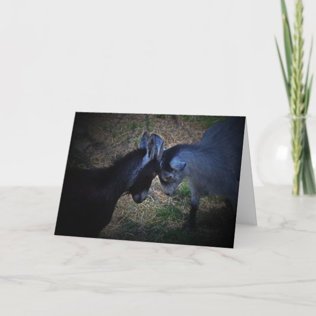 Butting Heads Card (Front)