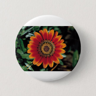 Button best design flower