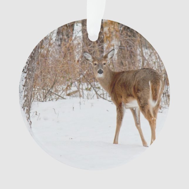 Button Buck Deer in Winter White Snowy Field Ornament (Front)