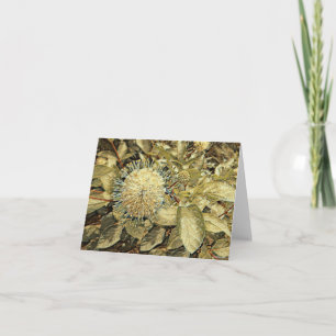 Button Bush - Blank Greeting Card