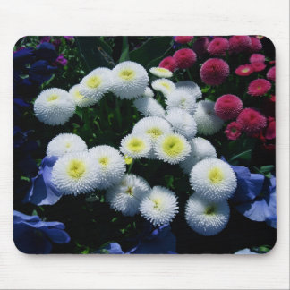 Button Chrysanthemums Mouse Mat