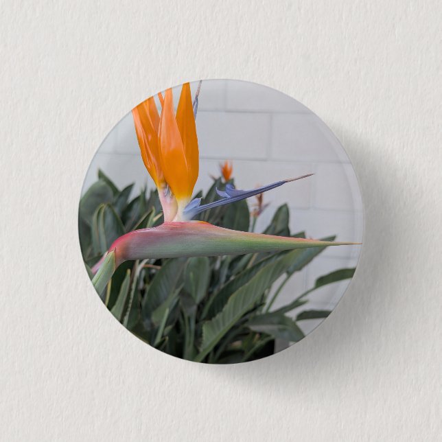 Button--Floral Series Bird of Paradi Button (Front)