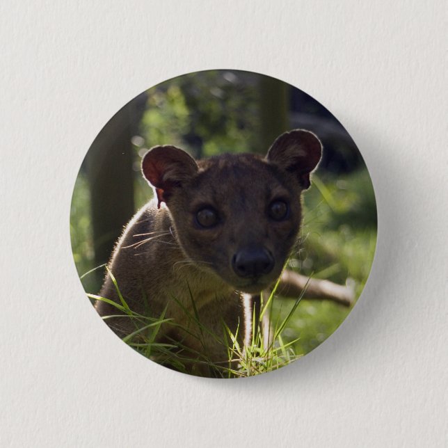 Button - Fossa (Front)