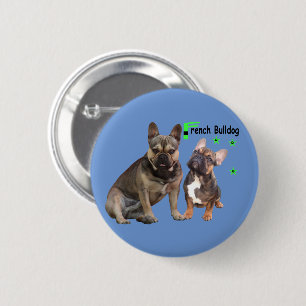 Button französische Bulldoggen