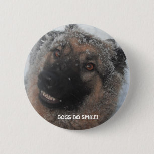 Button German Shepherd In The Snow Smiling