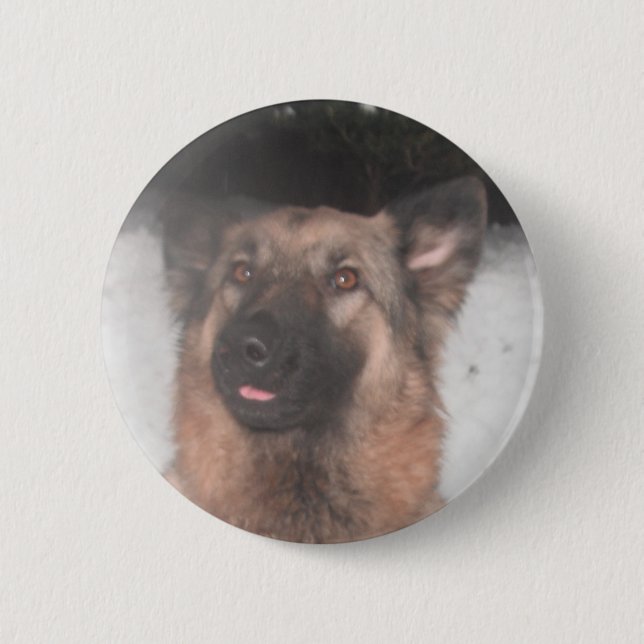 Button German Shepherd Sticking Tongue Out (Front)