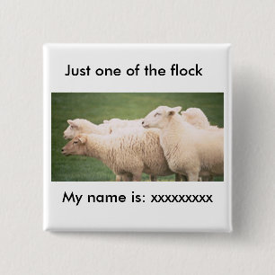 Button -  Just one of the flock
