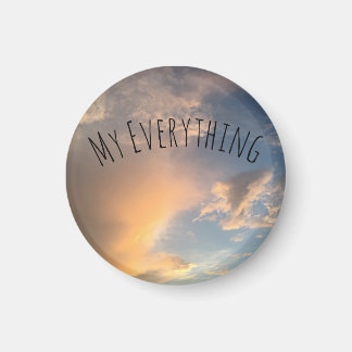 Button, magnet, pin magnet