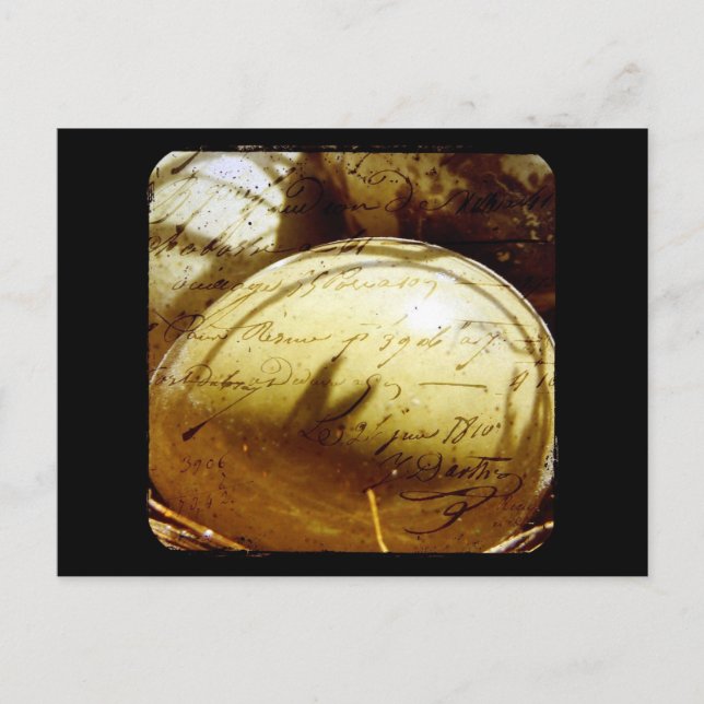 Button Quail Eggs Postcard (Front)