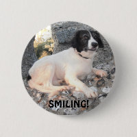 Button Sprollie Visiting Castle Smiling