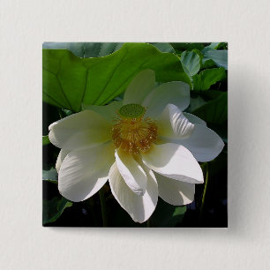 Button with delicate white Lotus Flower