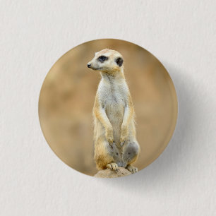 Button with Meerkat on guard