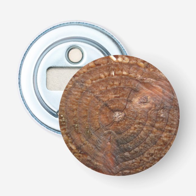 Button with wood pattern Cross section tree Bottle Opener (Front)