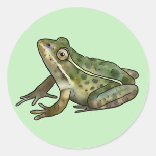 Buttons, frosch  classic round sticker