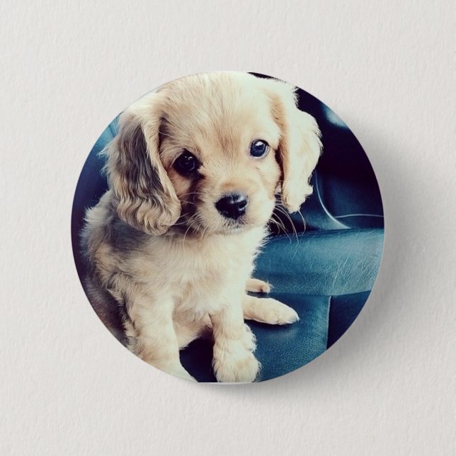 Buttonz Up! 6 Cm Round Badge (Front)