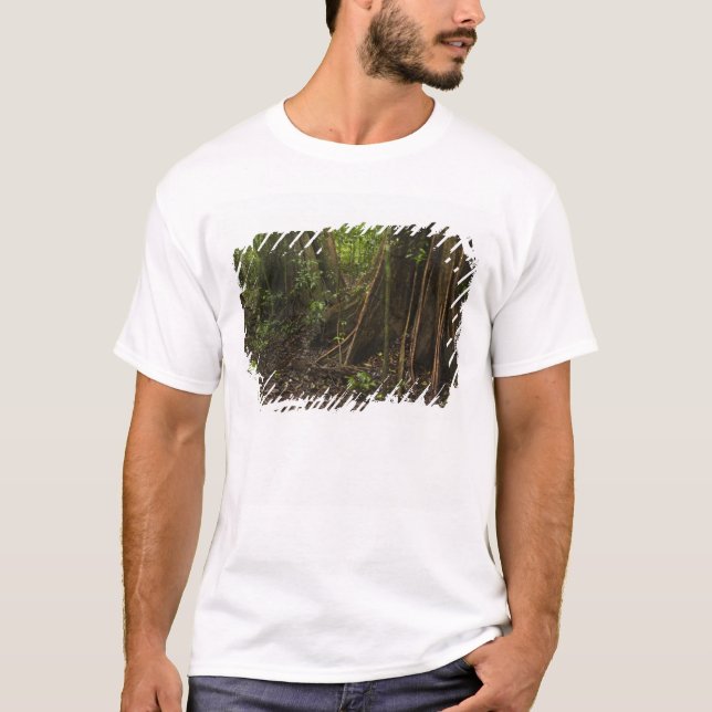 Buttress Roots. Rainforest, Mapari Rupununi, T-Shirt (Front)