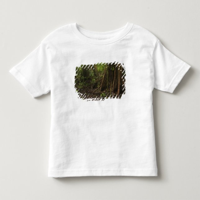 Buttress Roots. Rainforest, Mapari Rupununi, Toddler T-Shirt (Front)