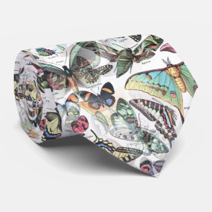 buttterflies summer, nature tie