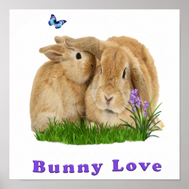 buuny love poster (Front)